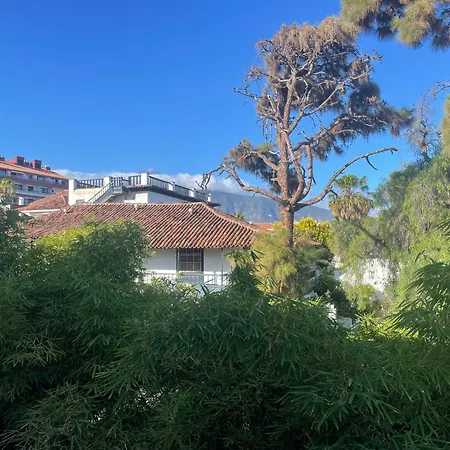 Teide & Atlantic View *