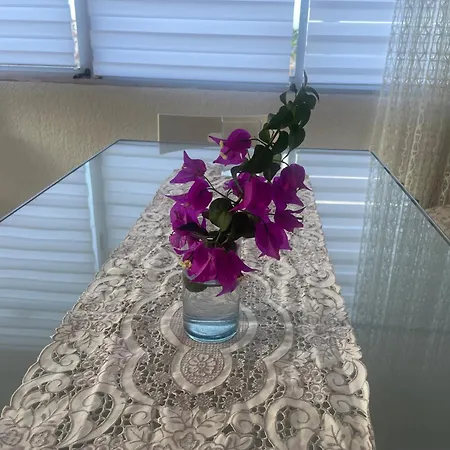 Teide & Atlantic View Homestay